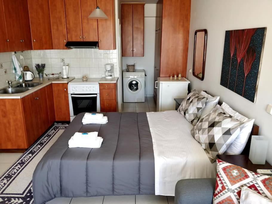 Ionian Blue Studio Preveza Eksteriør billede