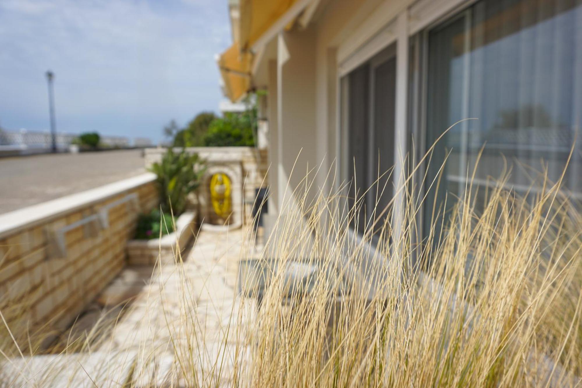 Ionian Blue Studio Preveza Eksteriør billede